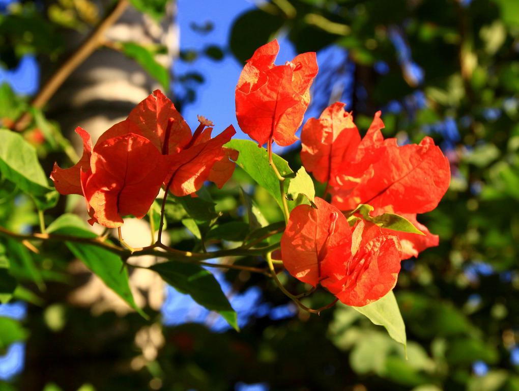 Labellaventura Villa ลาส กาเลราส ภายนอก รูปภาพ