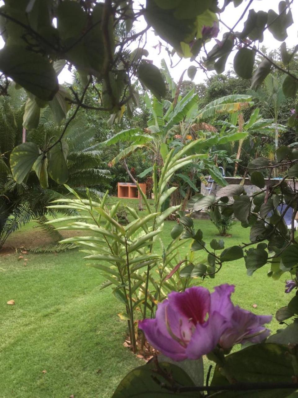 Labellaventura Villa ลาส กาเลราส ภายนอก รูปภาพ